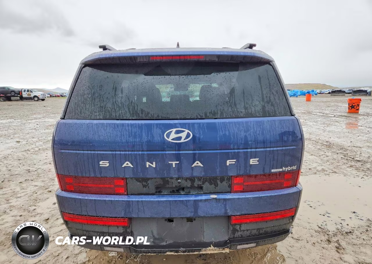 2025 Hyundai Santa Fe Sel VIN:5NMP2DG13SH045774 - 6