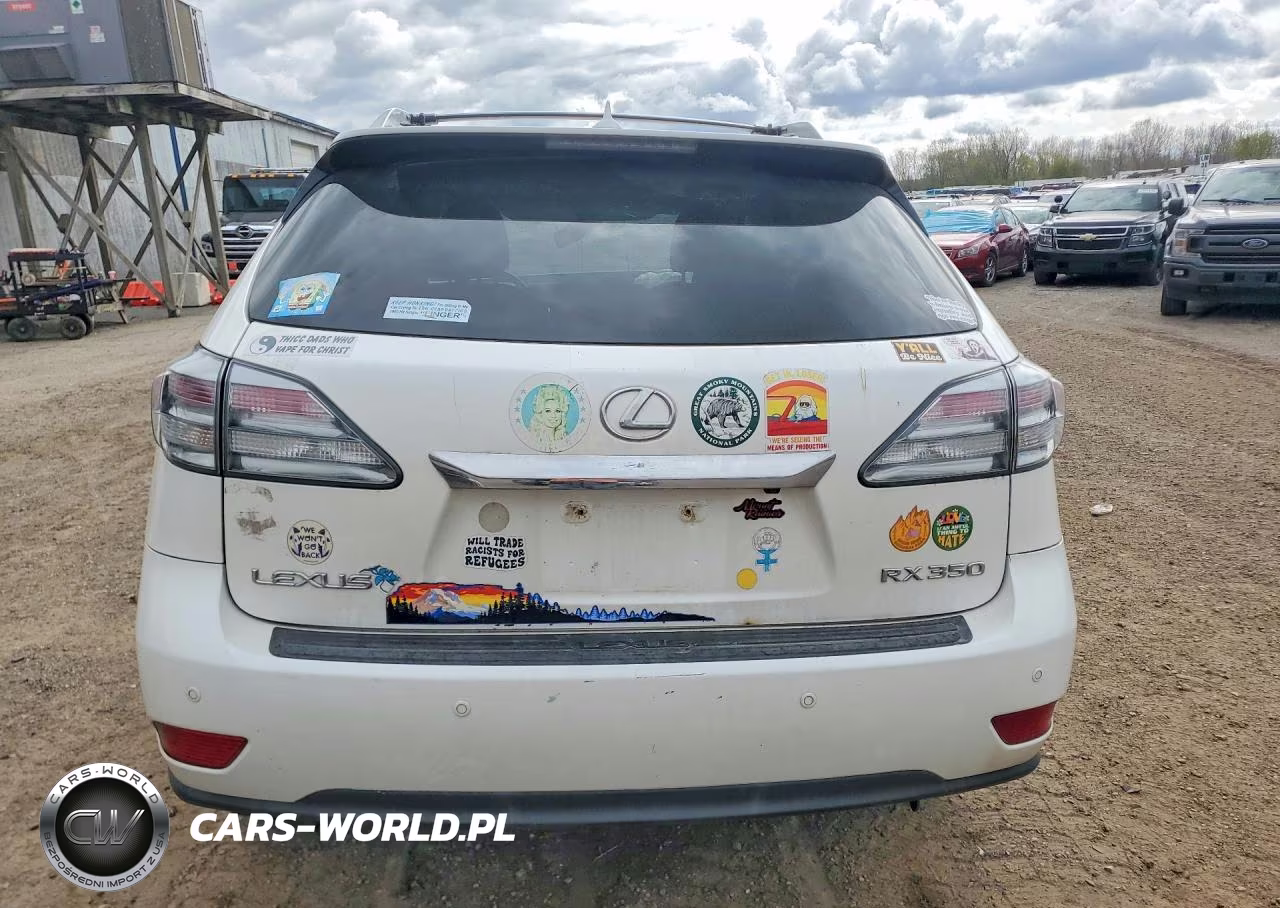2010 Lexus Rx 350 VIN:JTJZK1BA7A2405661 - 6
