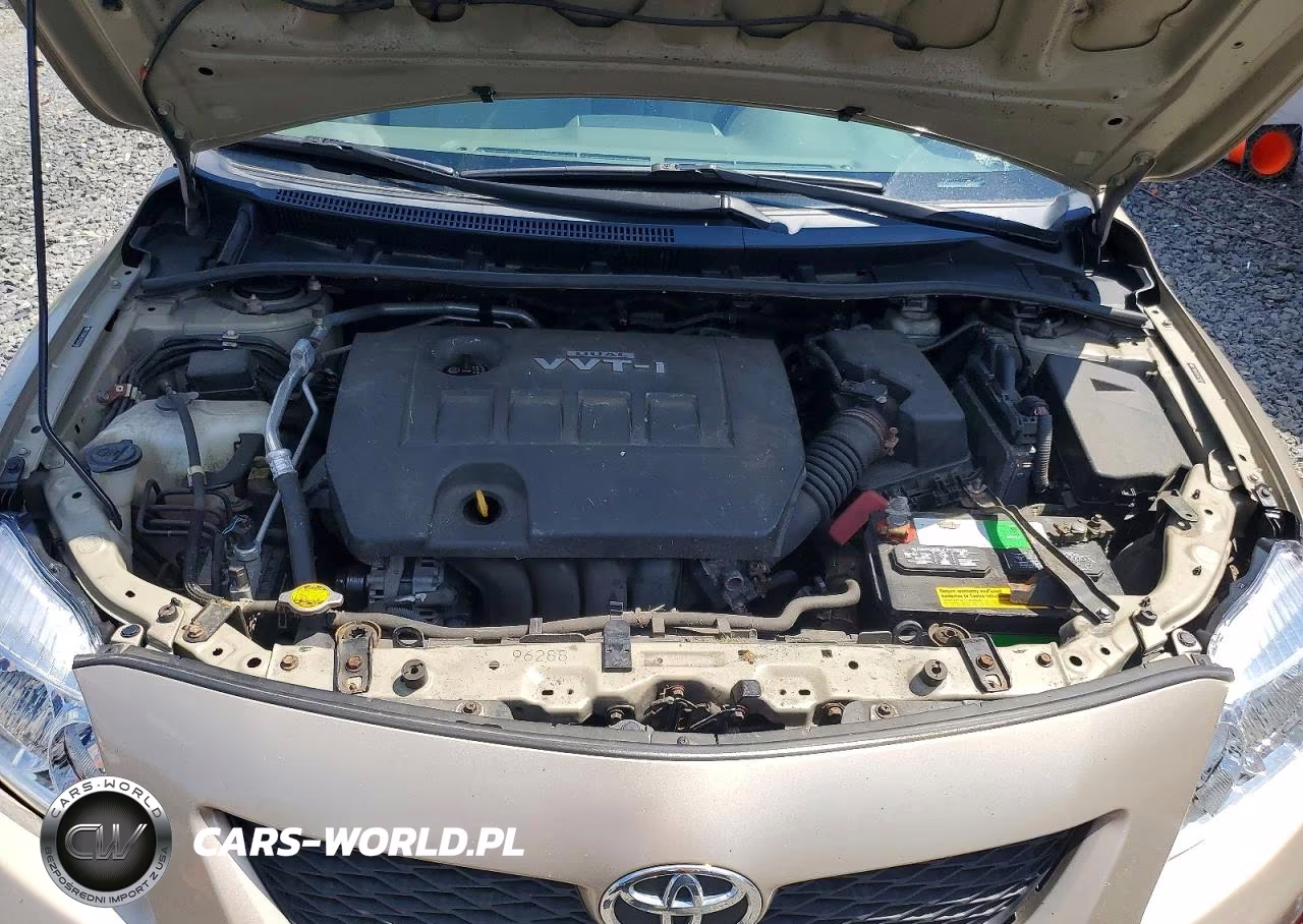 2010 Toyota Corolla Base VIN:2T1BU4EE7AC231087 - 11