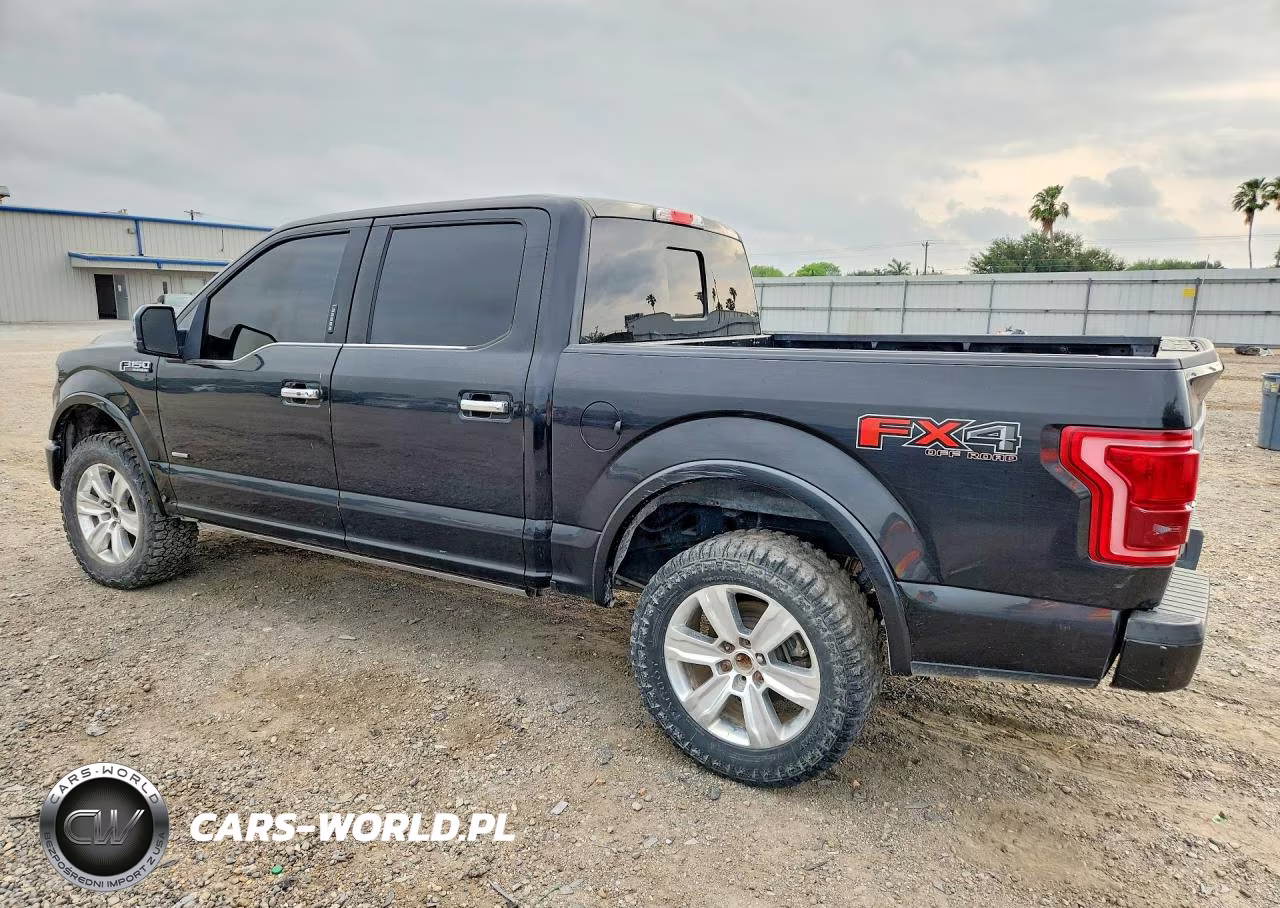 2015 Ford F150 VIN:1FTEW1EG4FFA29295 - 2