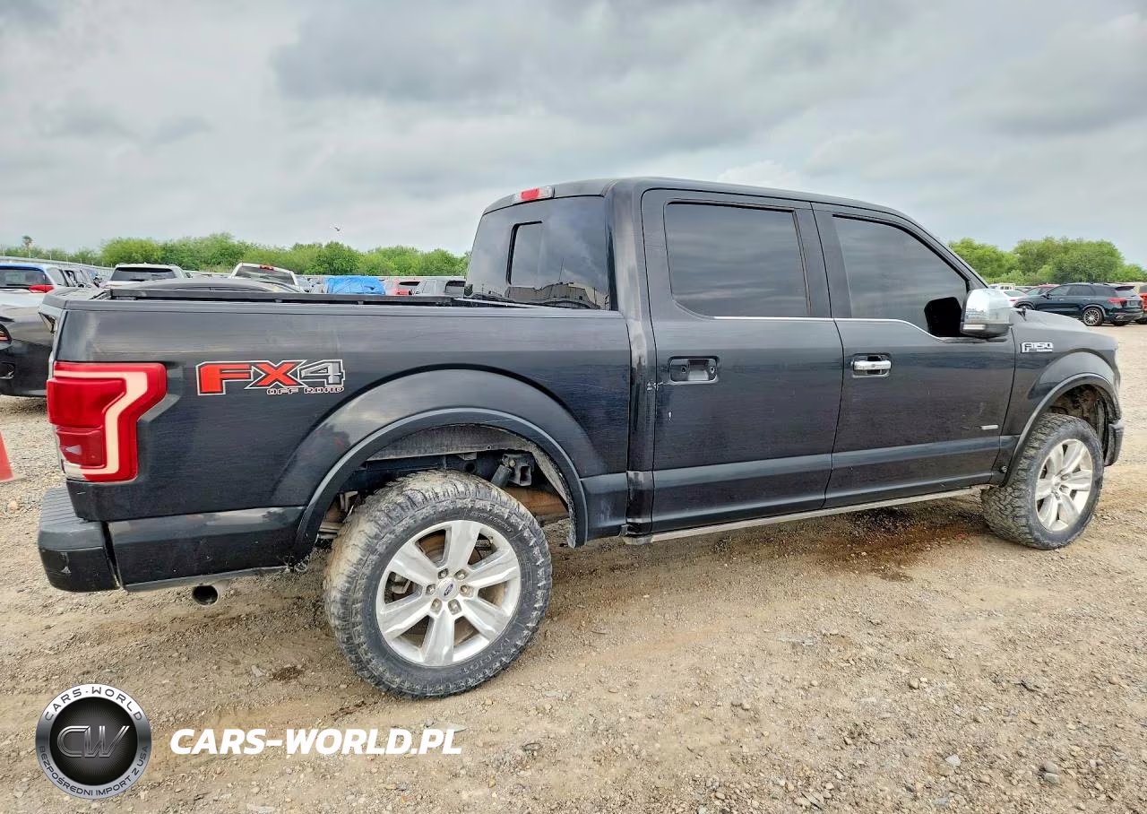 2015 Ford F150 VIN:1FTEW1EG4FFA29295 - 3