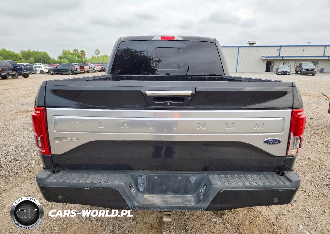 2015 Ford F150 VIN:1FTEW1EG4FFA29295 - 6
