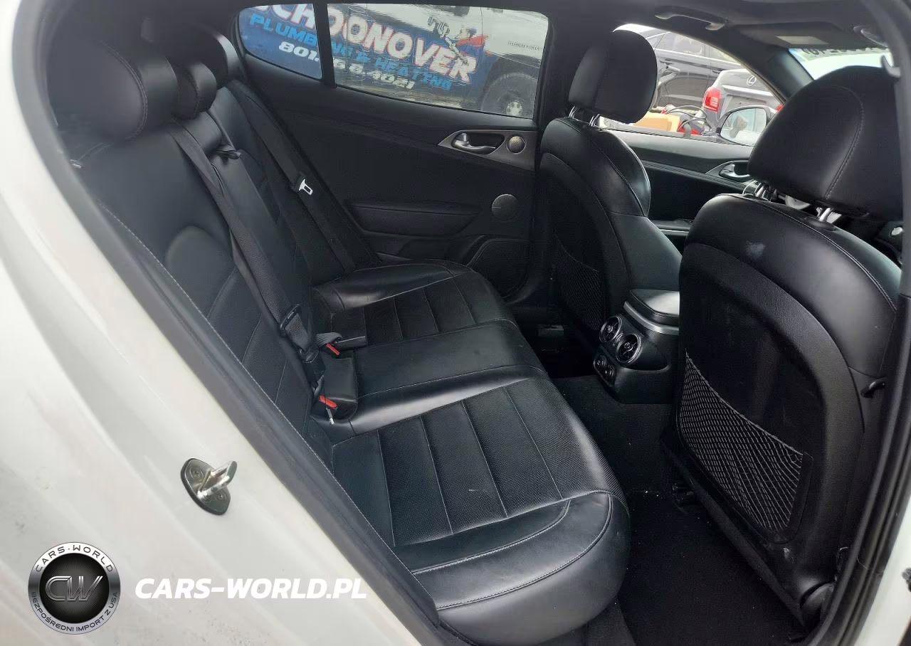 2019 Kia Stinger Gt2 VIN:KNAE55LC6K6061604 - 10