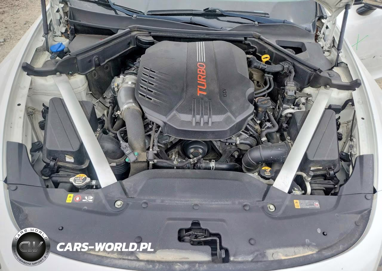 2019 Kia Stinger Gt2 VIN:KNAE55LC6K6061604 - 11