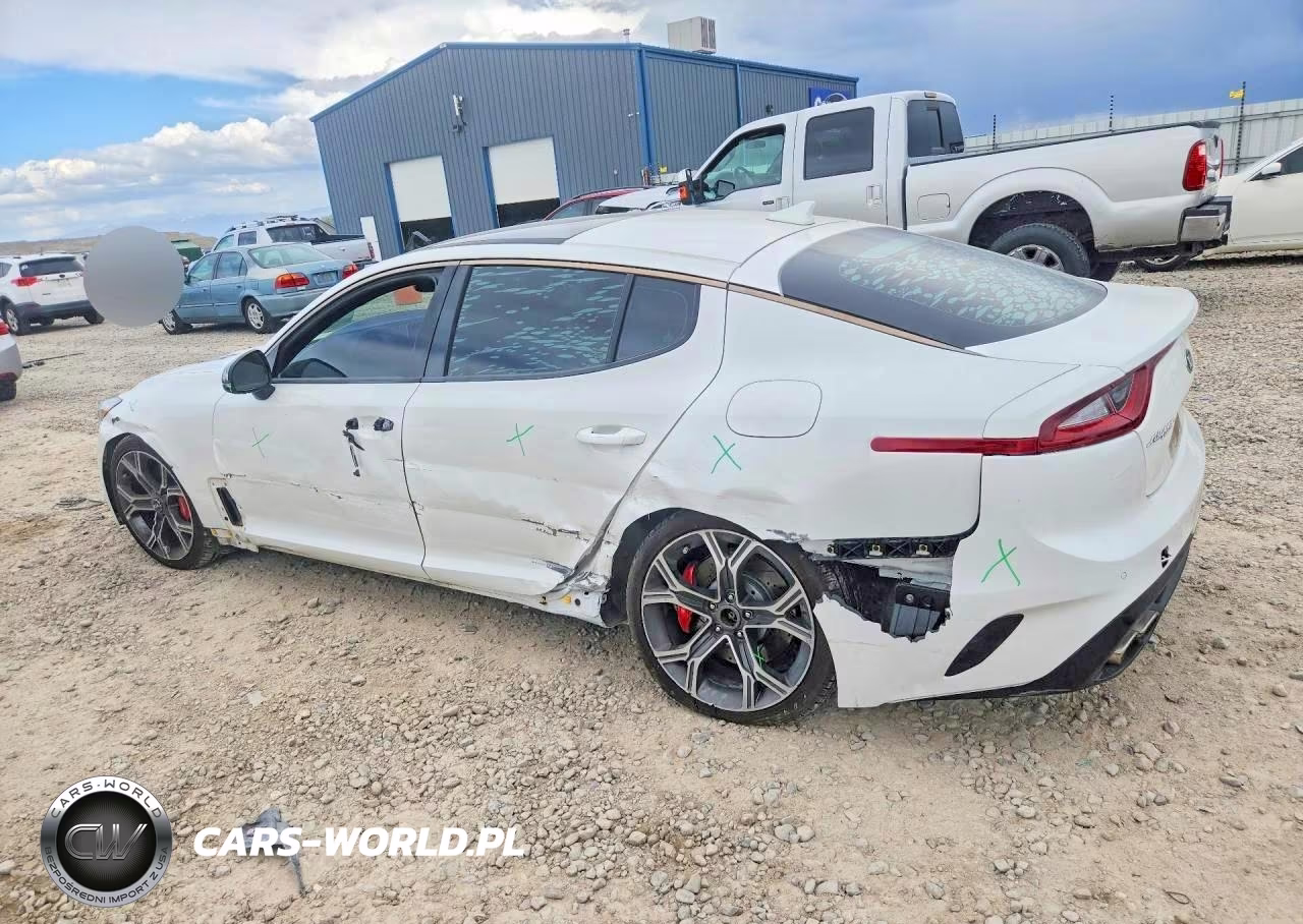 2019 Kia Stinger Gt2 VIN:KNAE55LC6K6061604 - 2