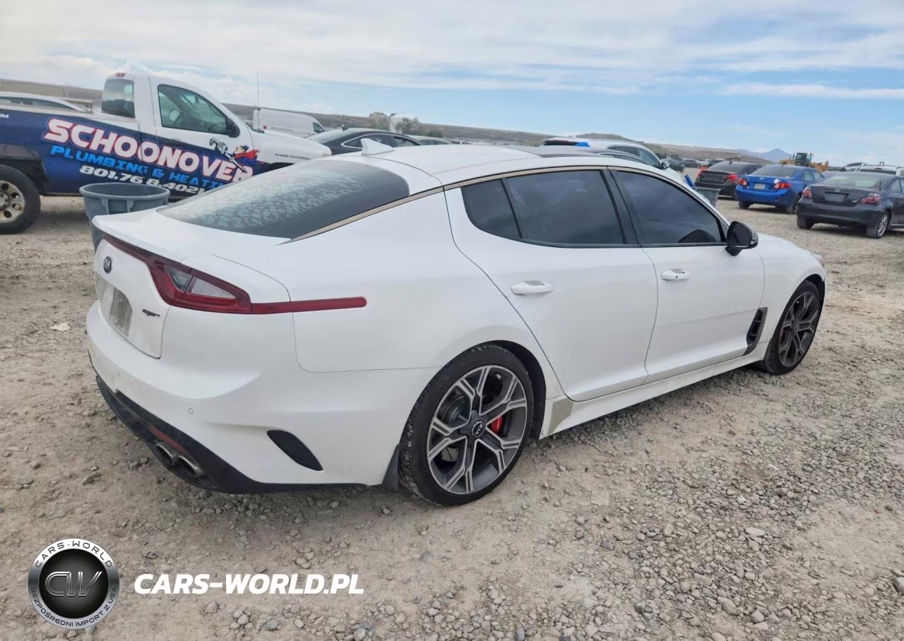2019 Kia Stinger Gt2 VIN:KNAE55LC6K6061604 - 3