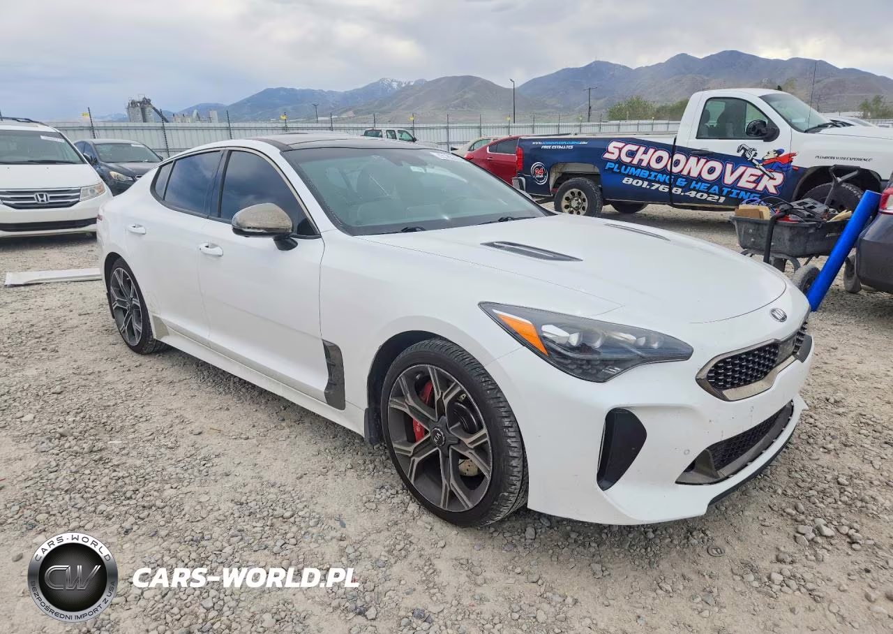 2019 Kia Stinger Gt2 VIN:KNAE55LC6K6061604 - 4