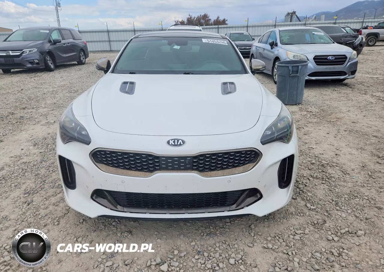 2019 Kia Stinger Gt2 VIN:KNAE55LC6K6061604 - 5