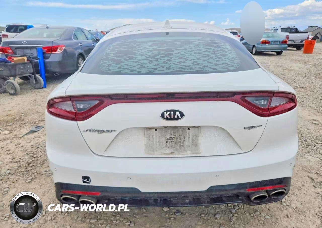 2019 Kia Stinger Gt2 VIN:KNAE55LC6K6061604 - 6