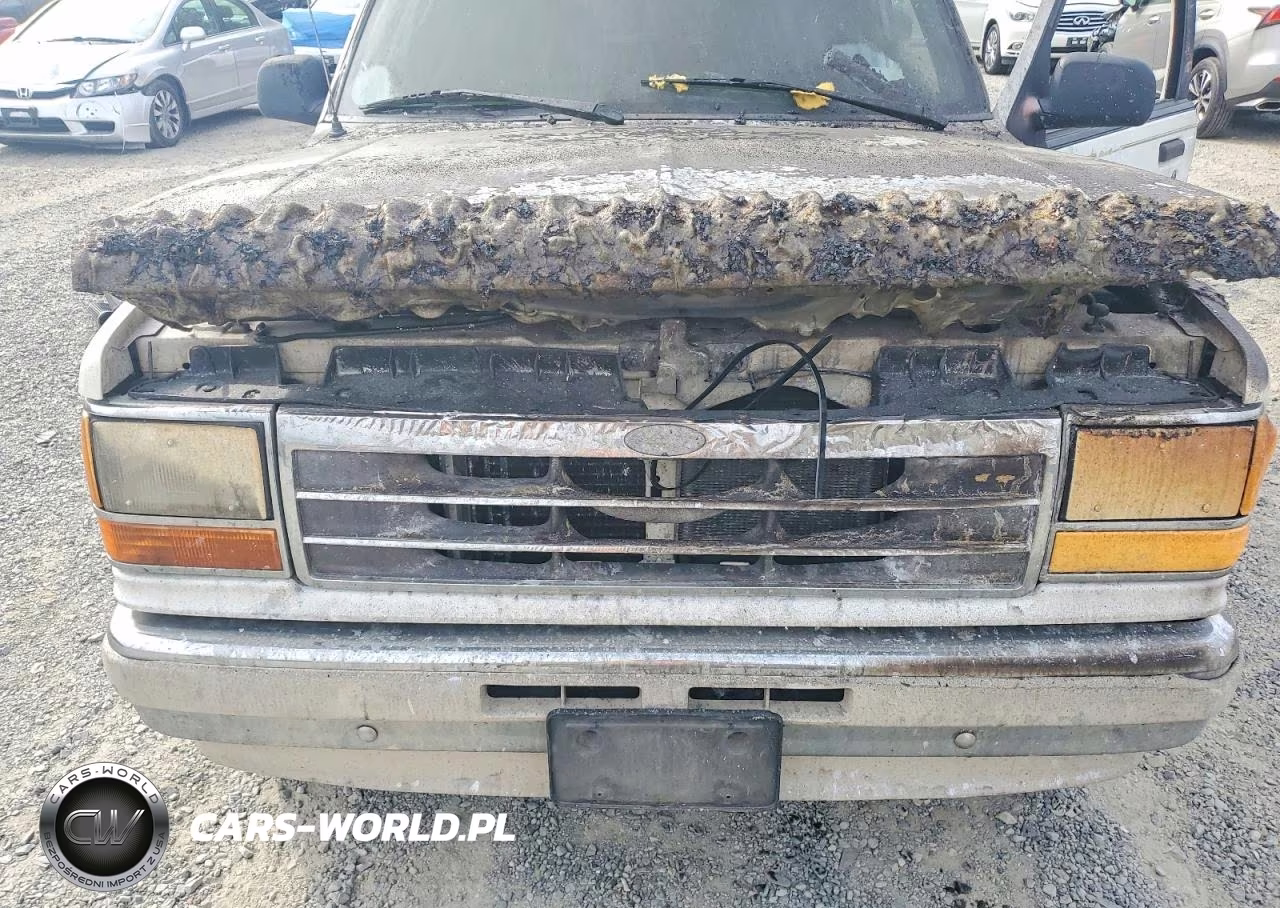 1991 Ford Explorer VIN:1FMDU34XXMUE02973 - 12