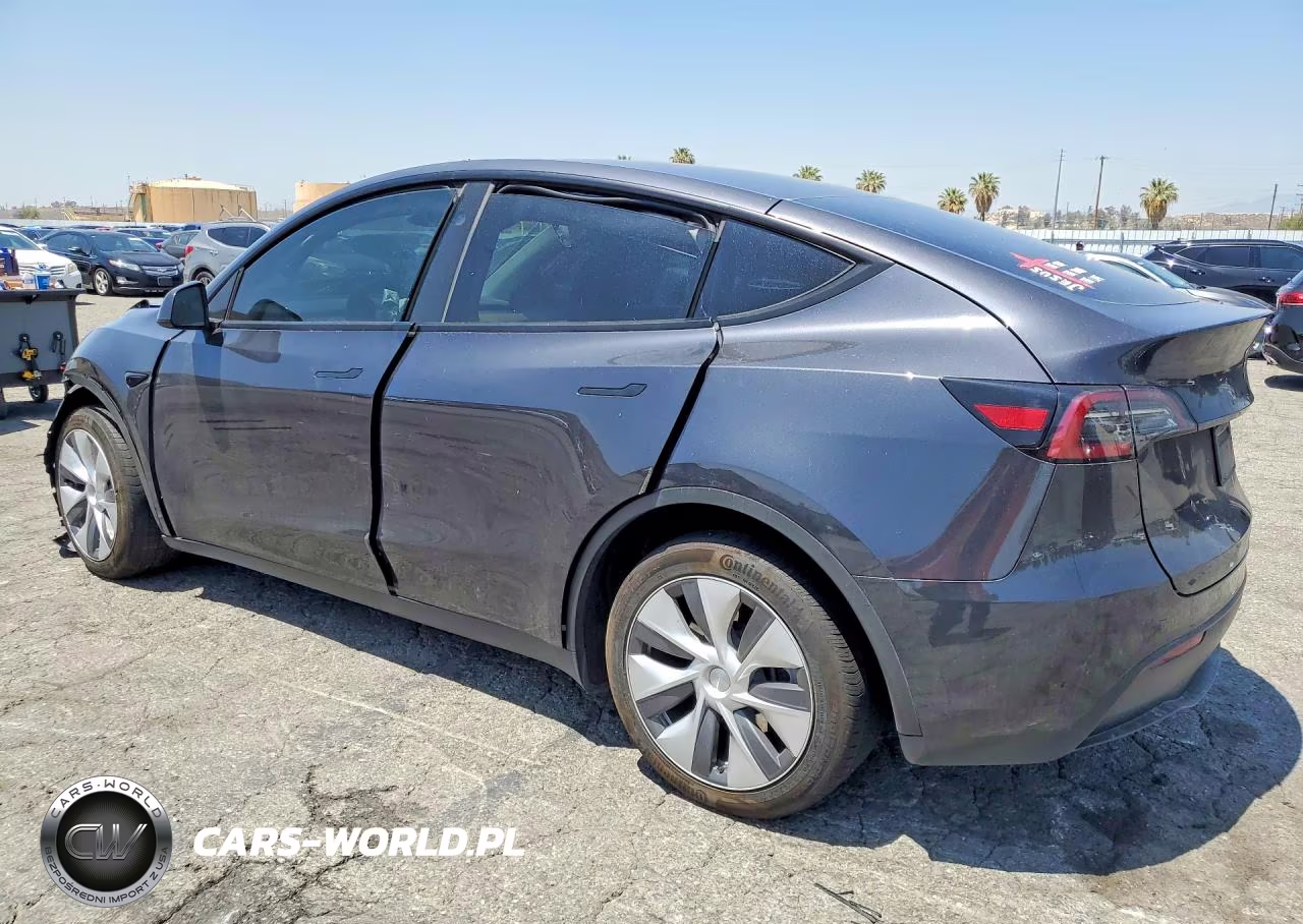2024 Tesla Model Y VIN:7SAYGDEE2RF089727 - 2