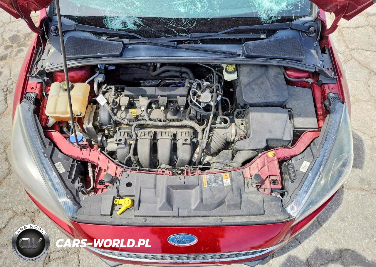 2017 Ford Focus Sel VIN:1FADP3H26HL218979 - 11