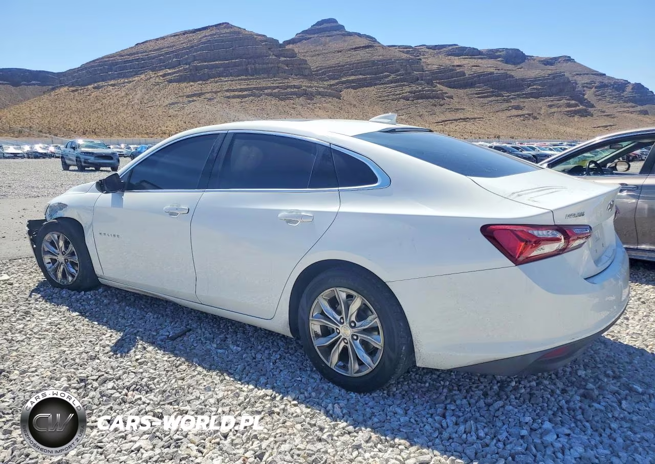 2019 Chevrolet Malibu Lt VIN:1G1ZD5ST0KF107879 - 2