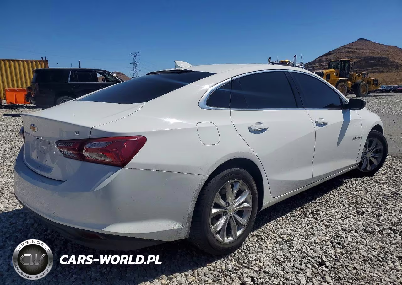 2019 Chevrolet Malibu Lt VIN:1G1ZD5ST0KF107879 - 3