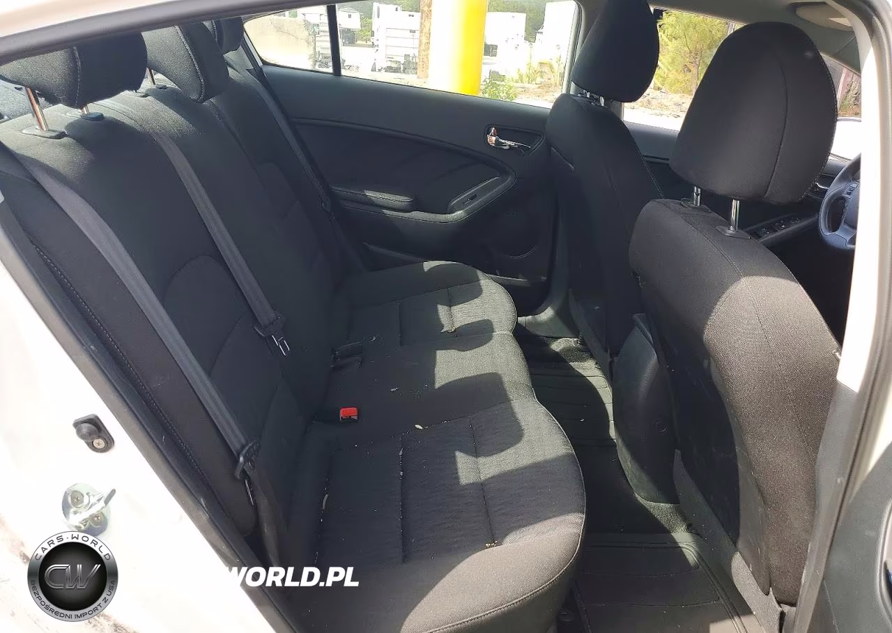 2016 Kia Forte Lx VIN:KNAFK4A64G5552139 - 10