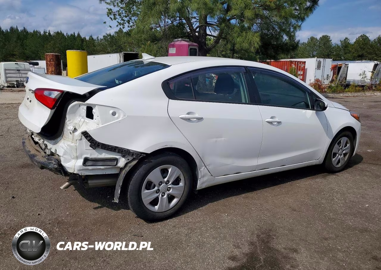 2016 Kia Forte Lx VIN:KNAFK4A64G5552139 - 3