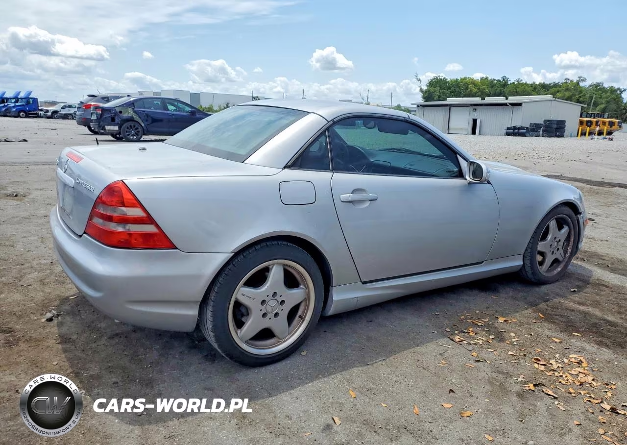 2001 Mercedes-Benz Slk 230 Kompressor VIN:WDBKK49F31F203933 - 3