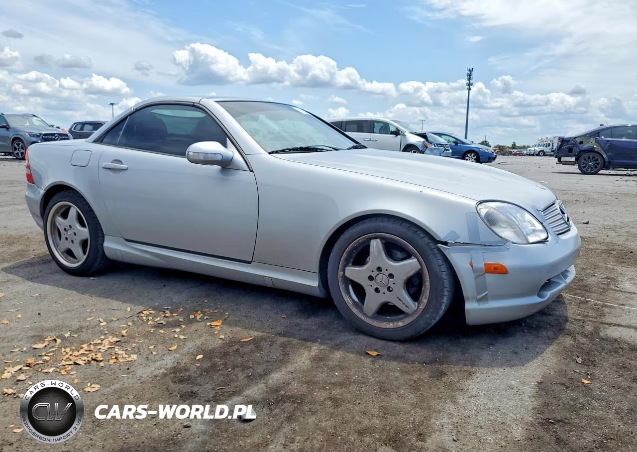 2001 Mercedes-Benz Slk 230 Kompressor VIN:WDBKK49F31F203933 - 4