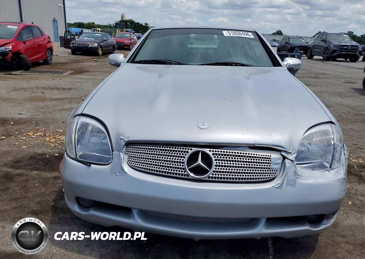2001 Mercedes-Benz Slk 230 Kompressor VIN:WDBKK49F31F203933 - 5
