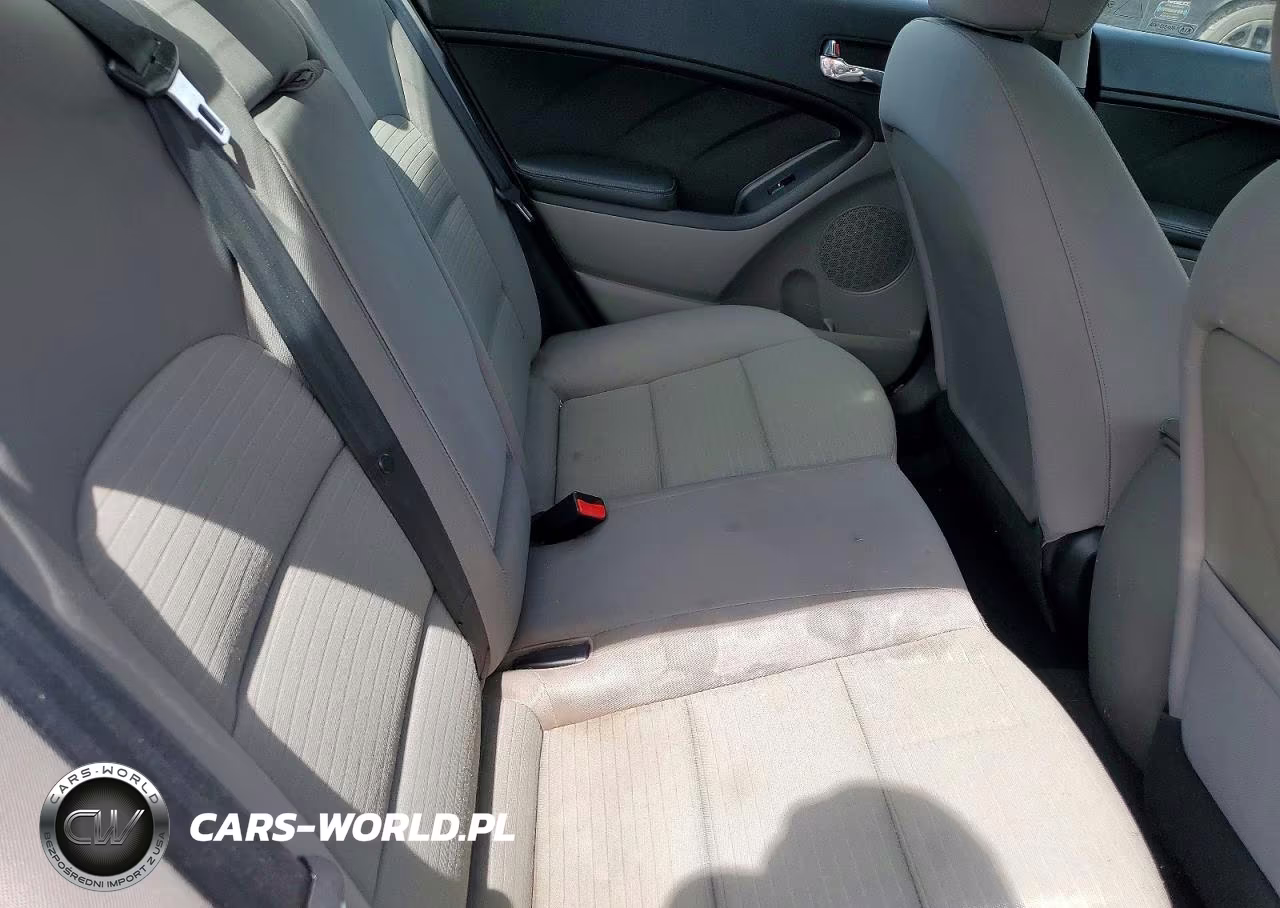 2014 Kia Forte Lx VIN:KNAFX4A6XE5062318 - 10