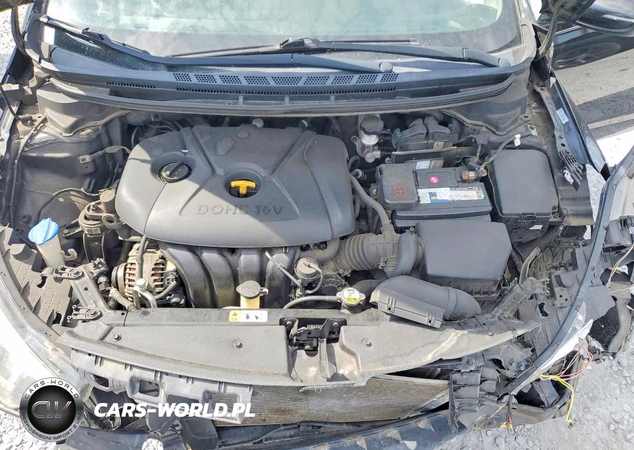 2014 Kia Forte Lx VIN:KNAFX4A6XE5062318 - 11