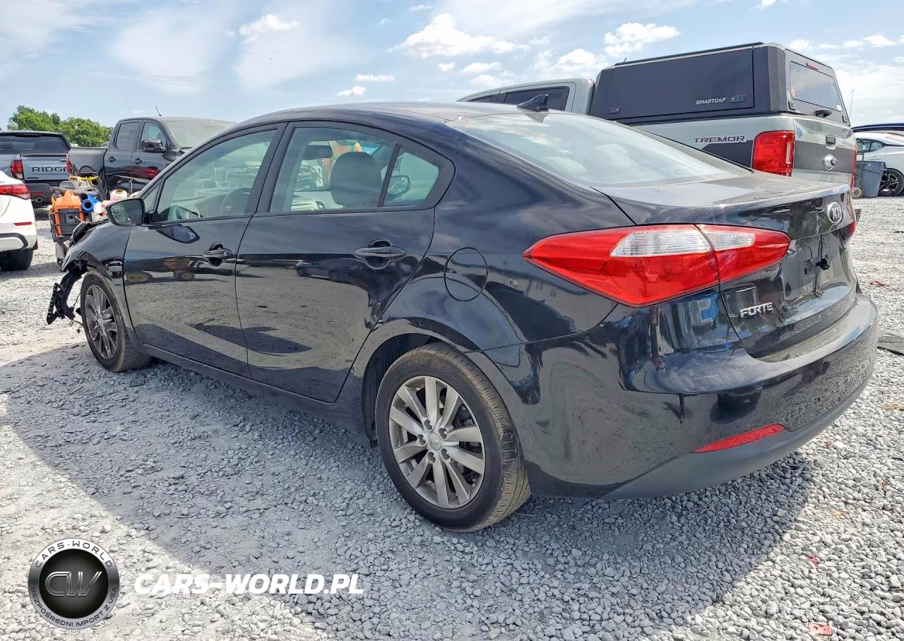 2014 Kia Forte Lx VIN:KNAFX4A6XE5062318 - 2