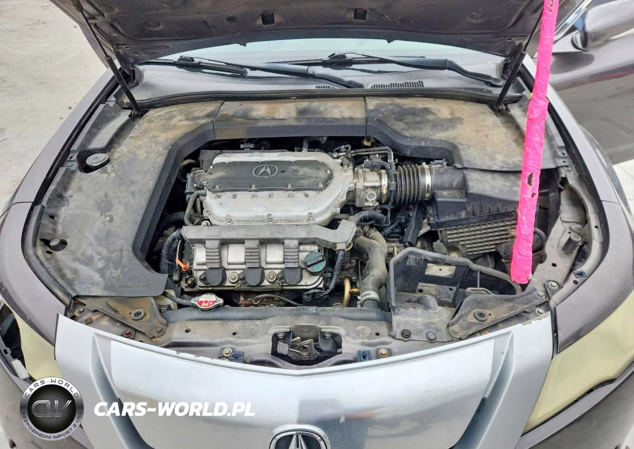 2009 Acura Tl VIN:19UUA96519A006159 - 11
