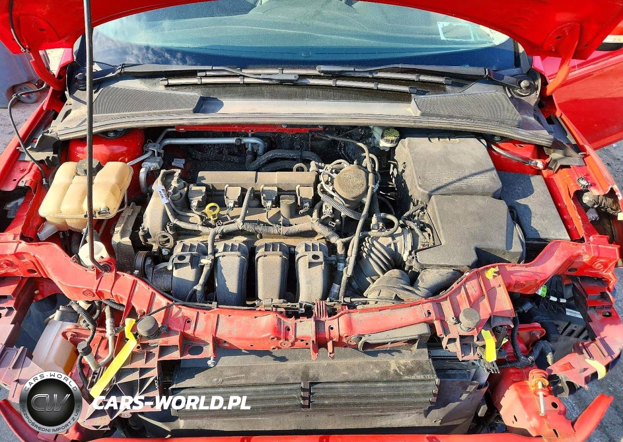 2016 Ford Focus Se VIN:1FADP3K21GL321704 - 11