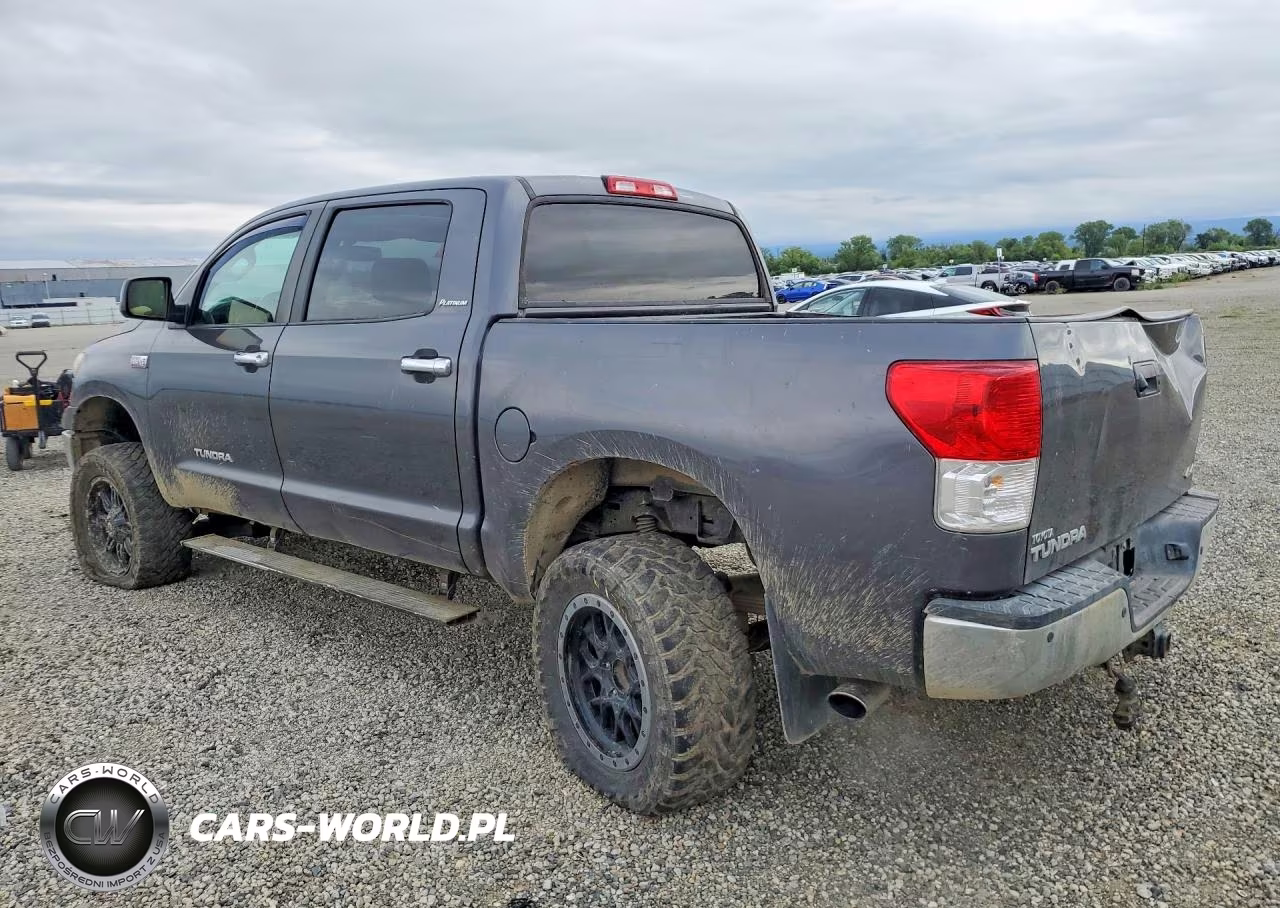 2013 Toyota Tundra Platinum VIN:5TFHY5F10DX297146 - 2