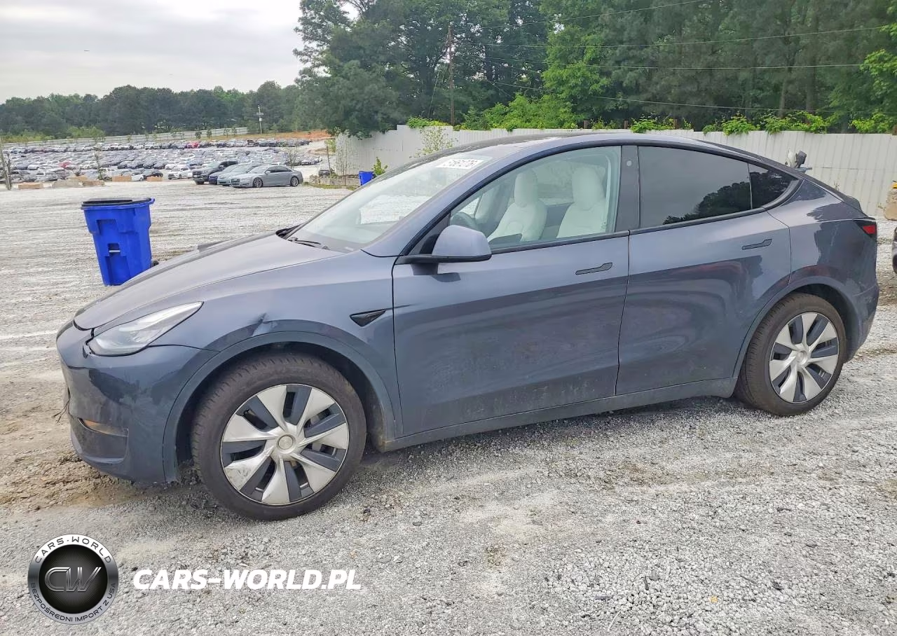 2020 Tesla Model Y