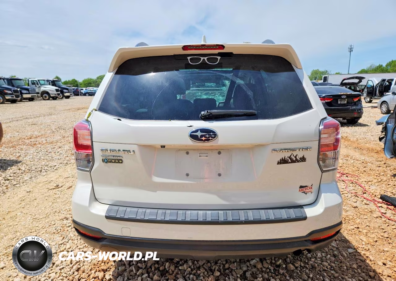 2018 Subaru Forester 2.5I Premium VIN:JF2SJAGC3JH495214 - 6