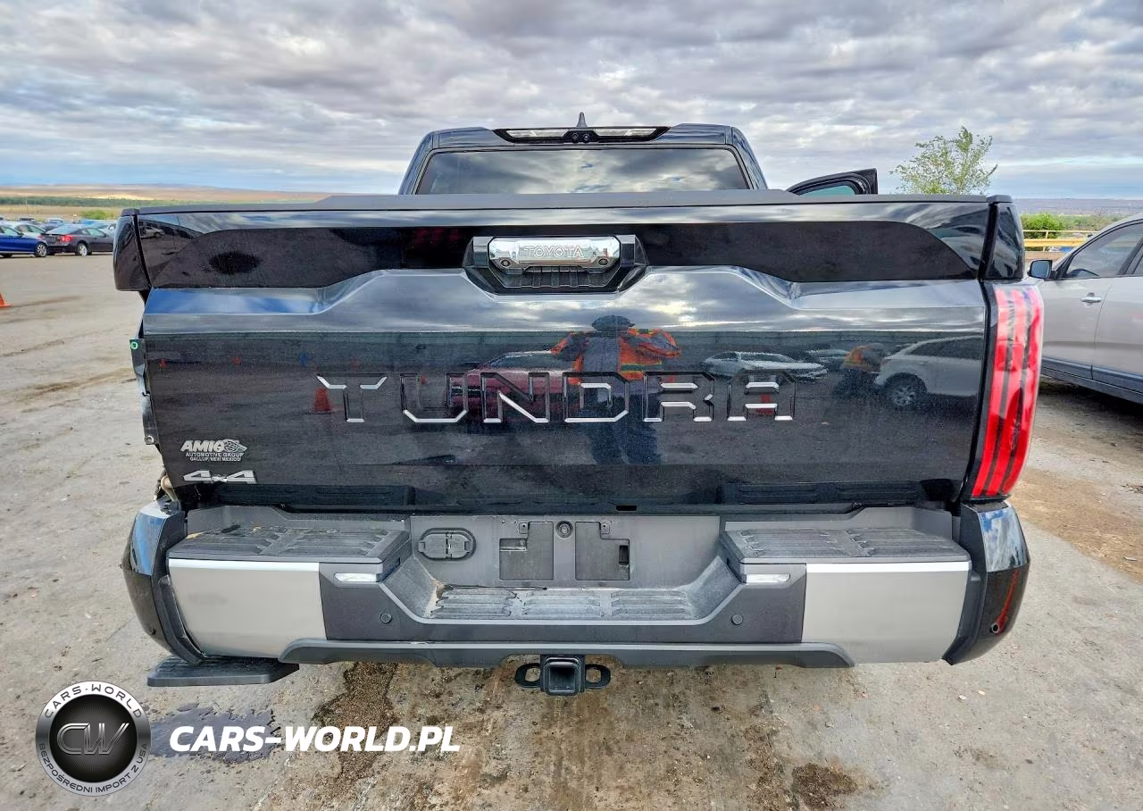 2025 Toyota Tundra Crewmax Limited VIN:5TFJA5DB2SX324748 - 6