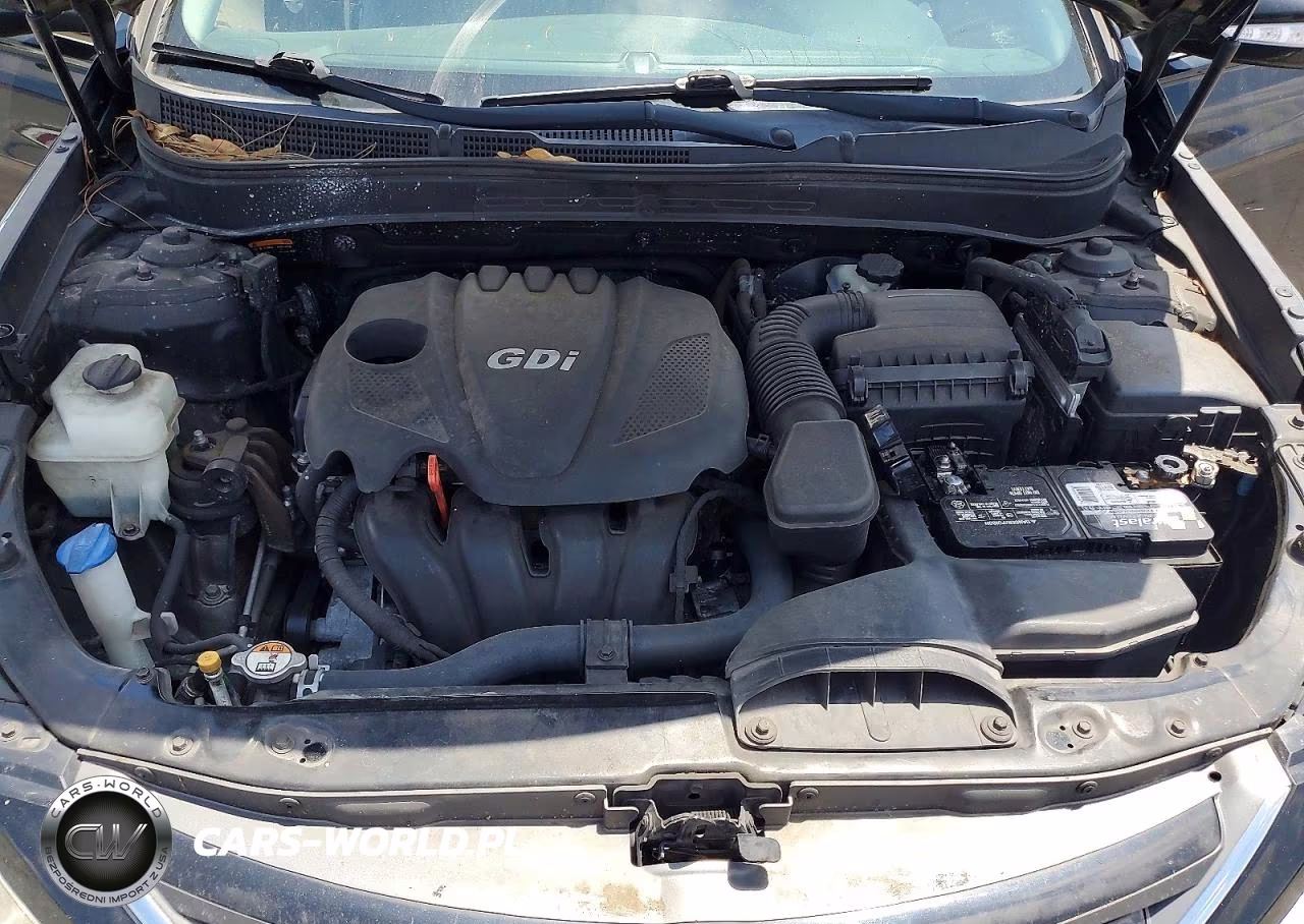 2014 Hyundai Sonata Gls VIN:5NPEB4AC0EH946268 - 11