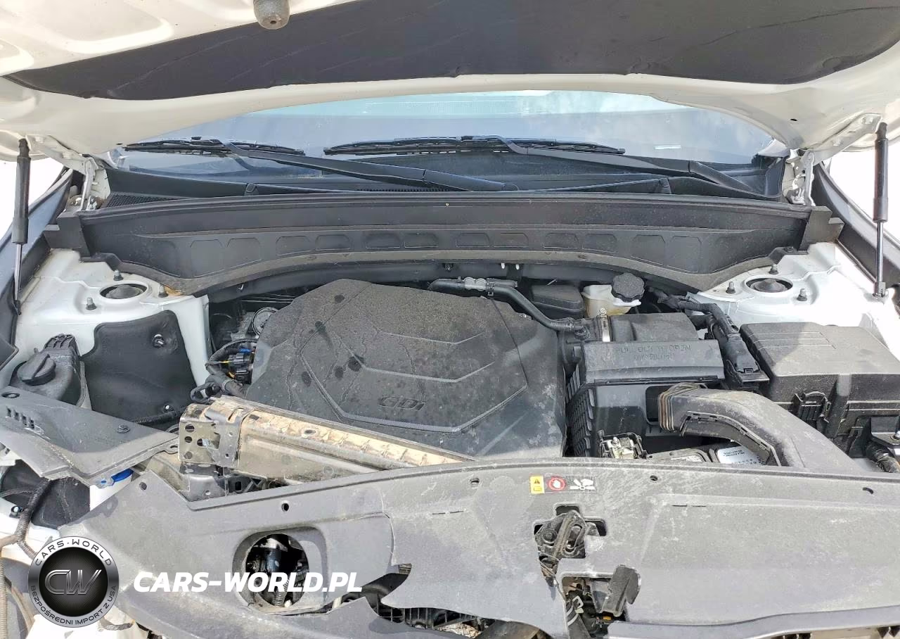 2023 Kia Telluride S VIN:5XYP6DGC4PG344231 - 12
