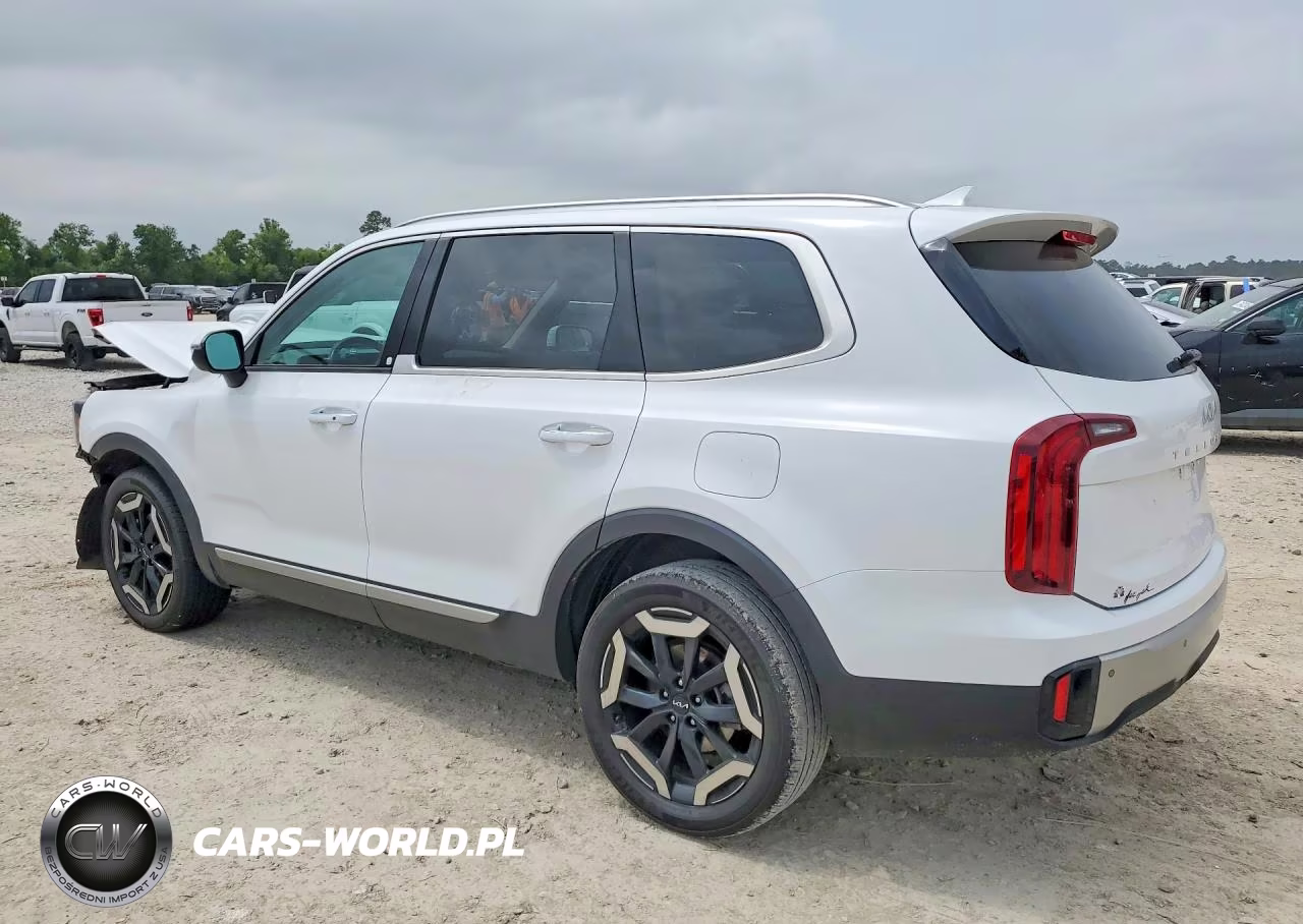 2023 Kia Telluride S VIN:5XYP6DGC4PG344231 - 2