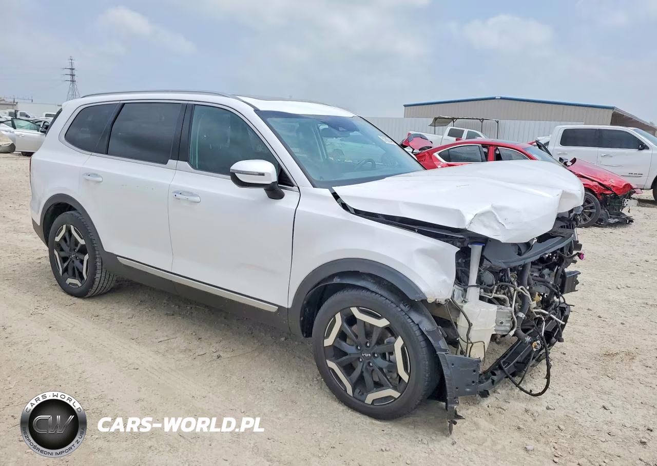 2023 Kia Telluride S VIN:5XYP6DGC4PG344231 - 4