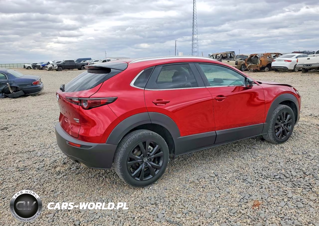 2022 Mazda Cx-30 VIN:3MVDMBAYXNM448223 - 3