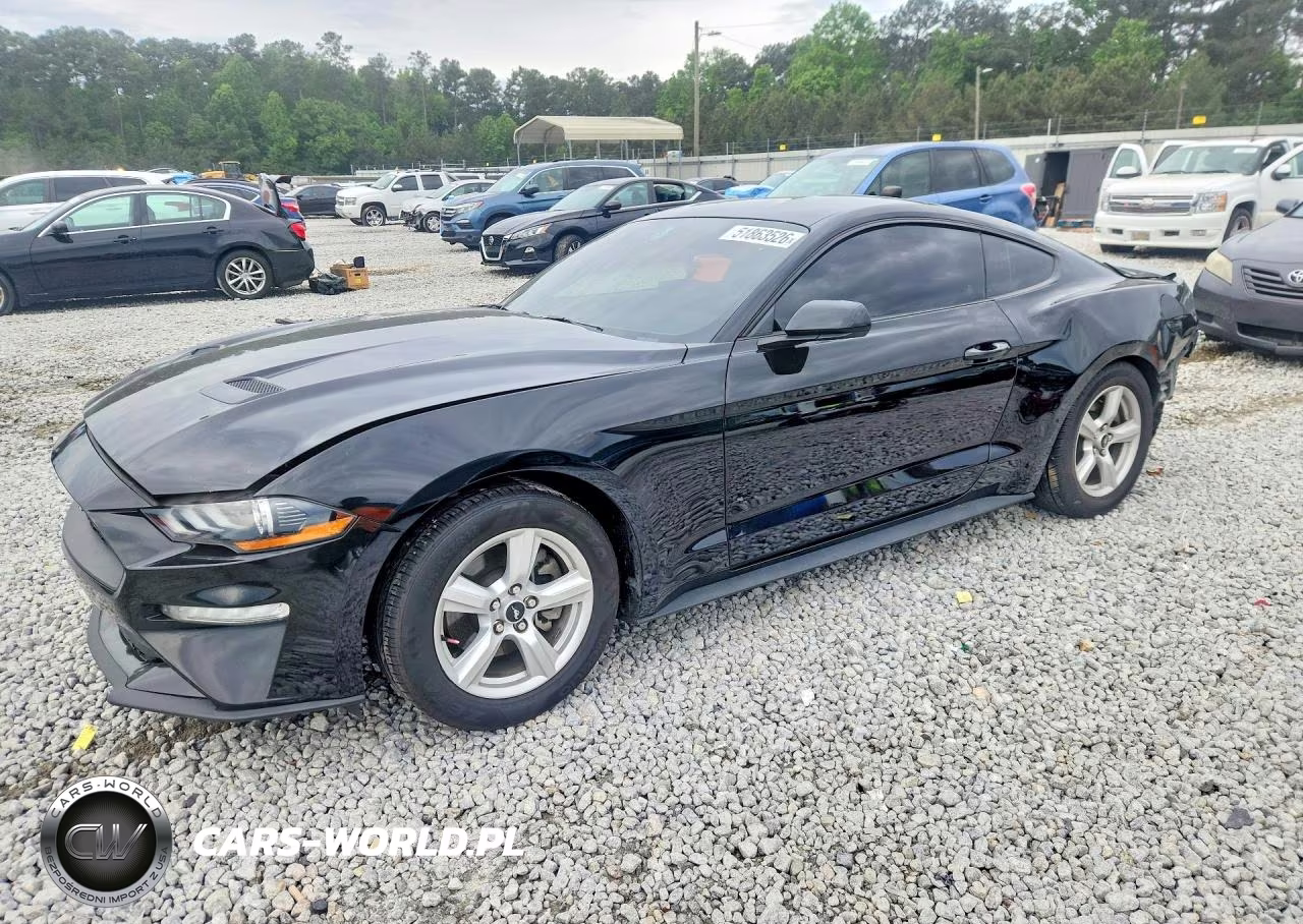 2019 Ford Mustang