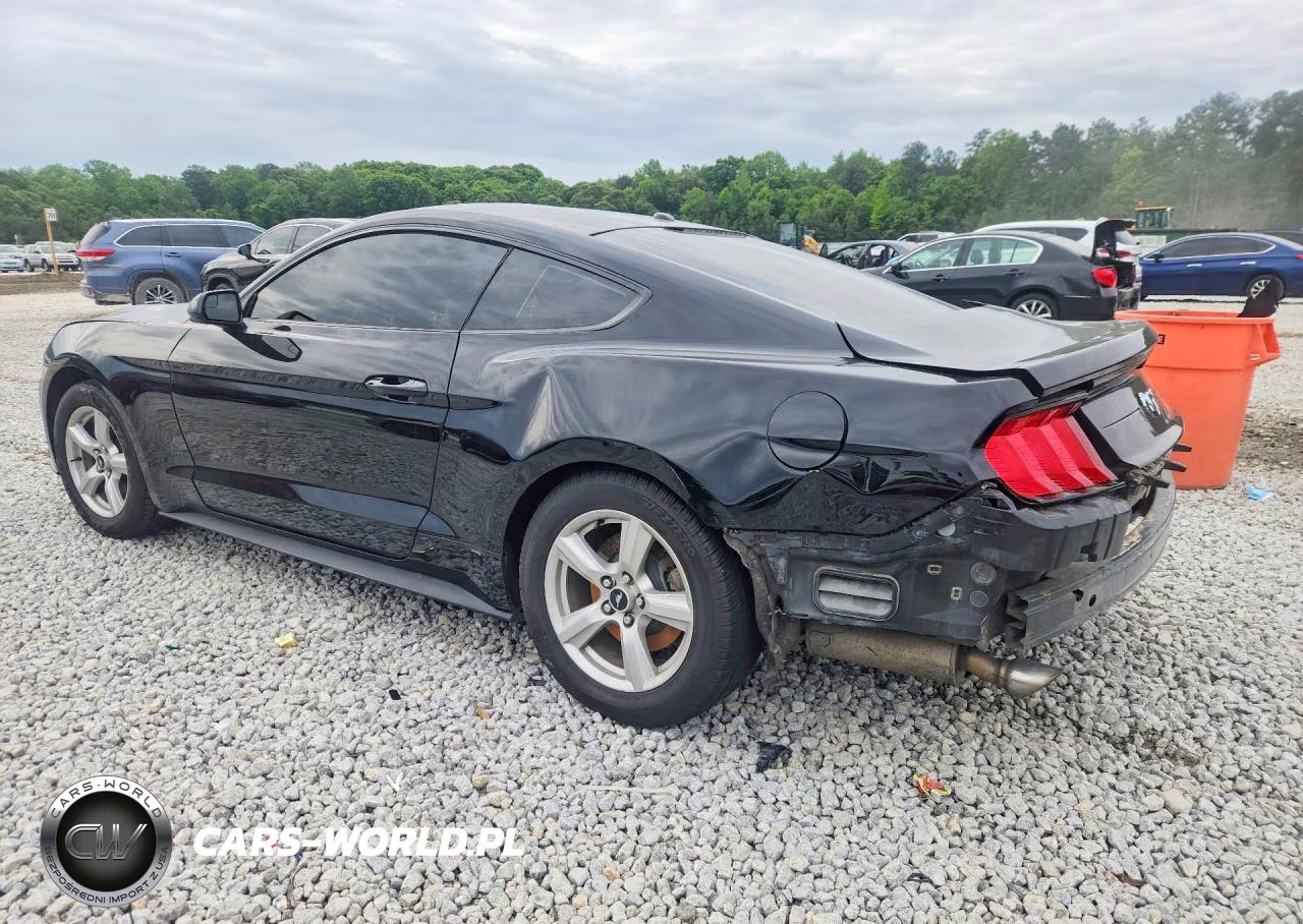 2019 Ford Mustang VIN:1FA6P8TH9K5204278 - 2