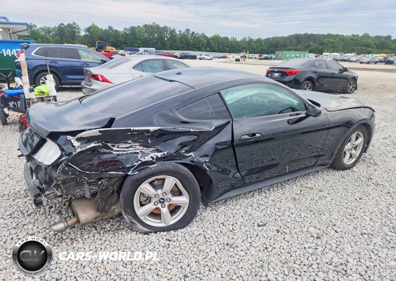2019 Ford Mustang VIN:1FA6P8TH9K5204278 - 3