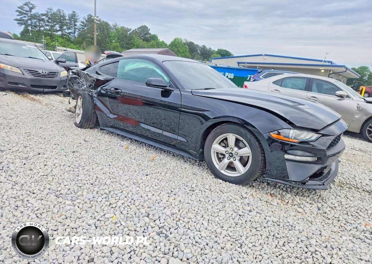 2019 Ford Mustang VIN:1FA6P8TH9K5204278 - 4