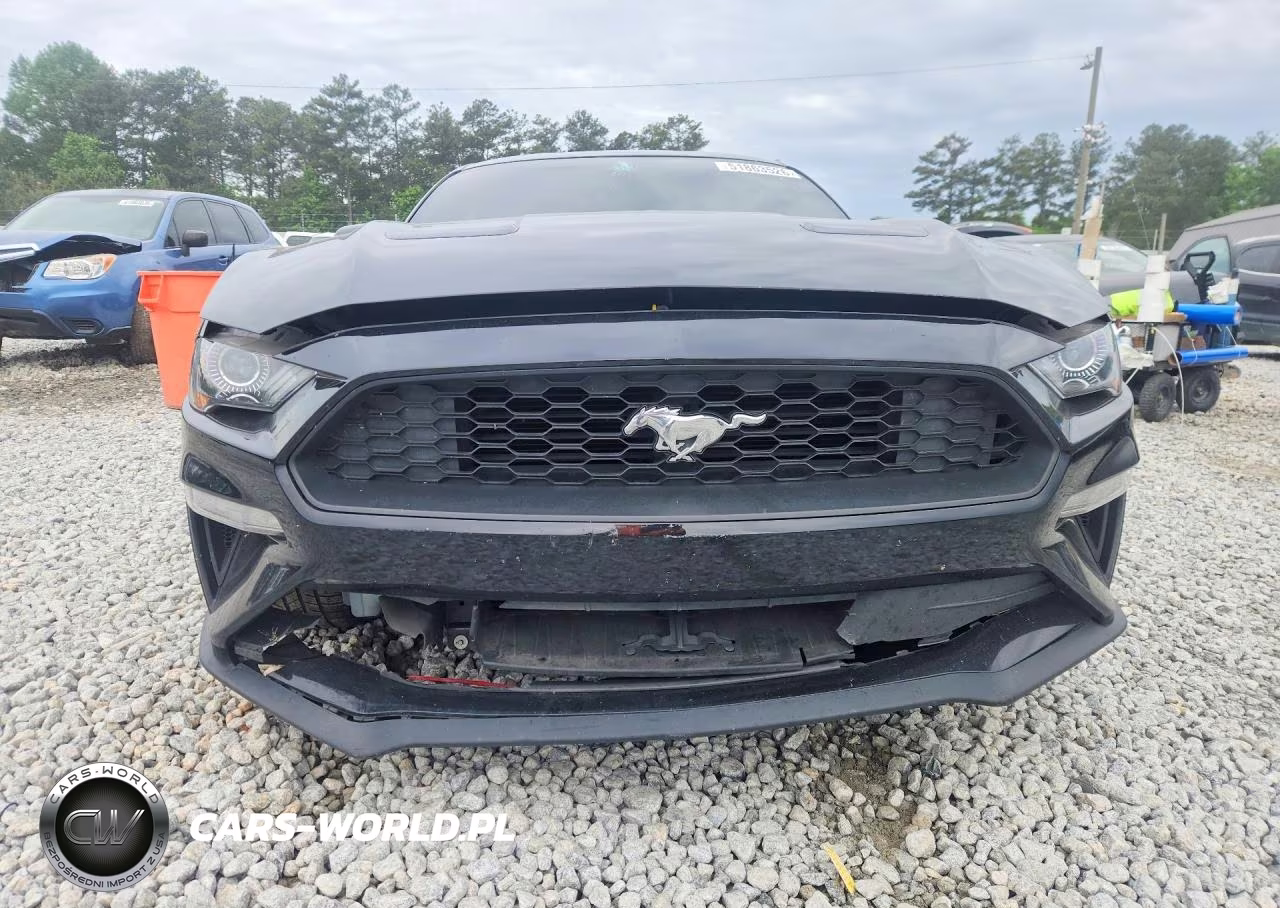 2019 Ford Mustang VIN:1FA6P8TH9K5204278 - 5