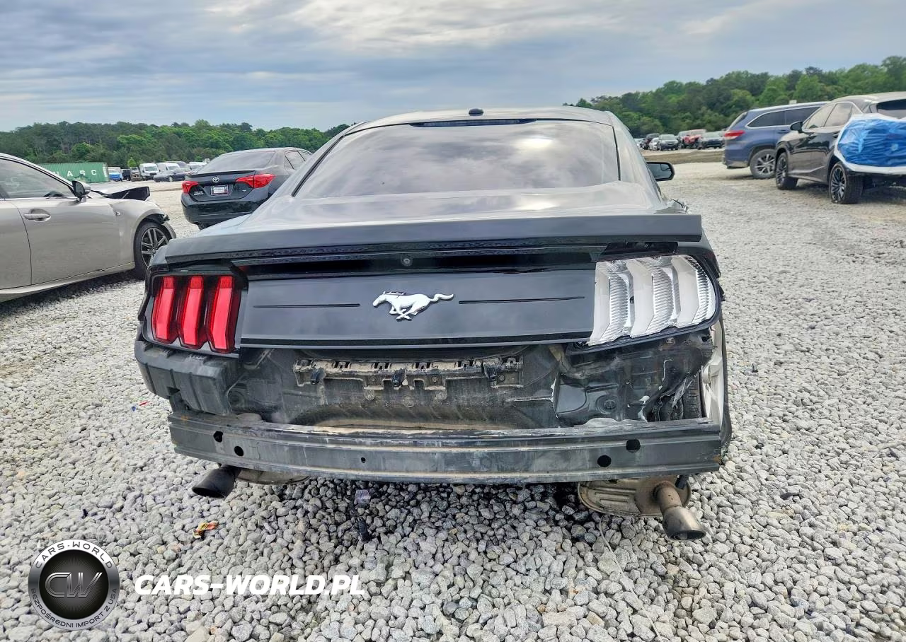 2019 Ford Mustang VIN:1FA6P8TH9K5204278 - 6