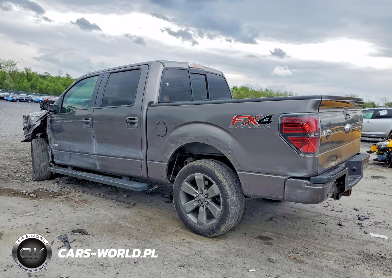 2013 Ford F150 Supercrew VIN:1FTFW1ET6DFD93894 - 2