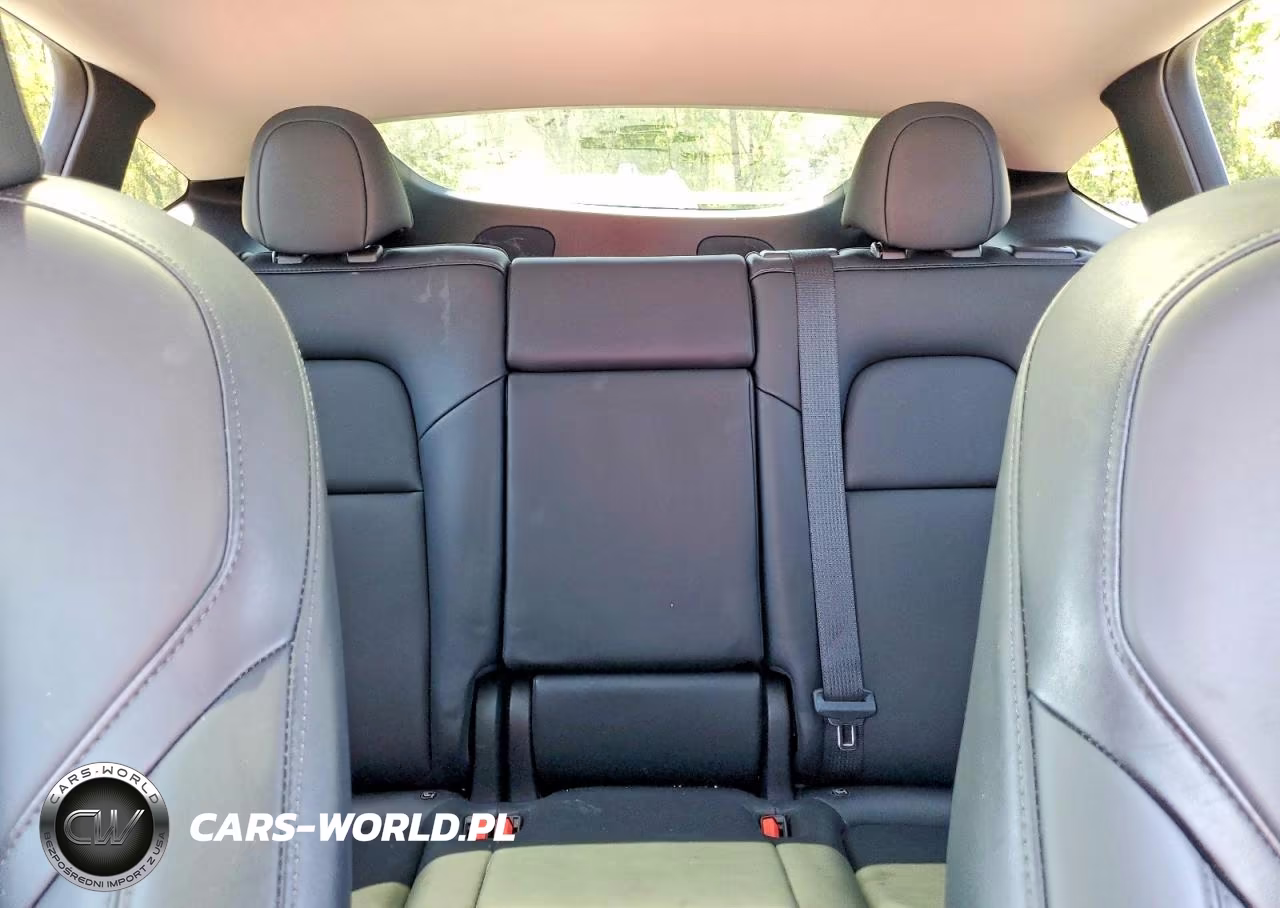 2023 Tesla Model Y VIN:7SAYGDEEXPA106557 - 10