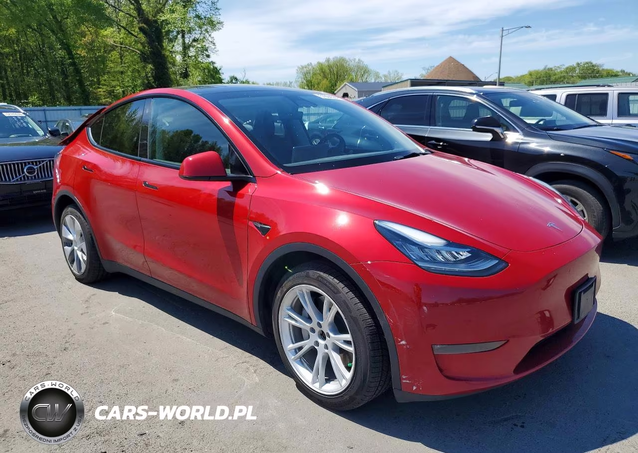 2023 Tesla Model Y VIN:7SAYGDEEXPA106557 - 4