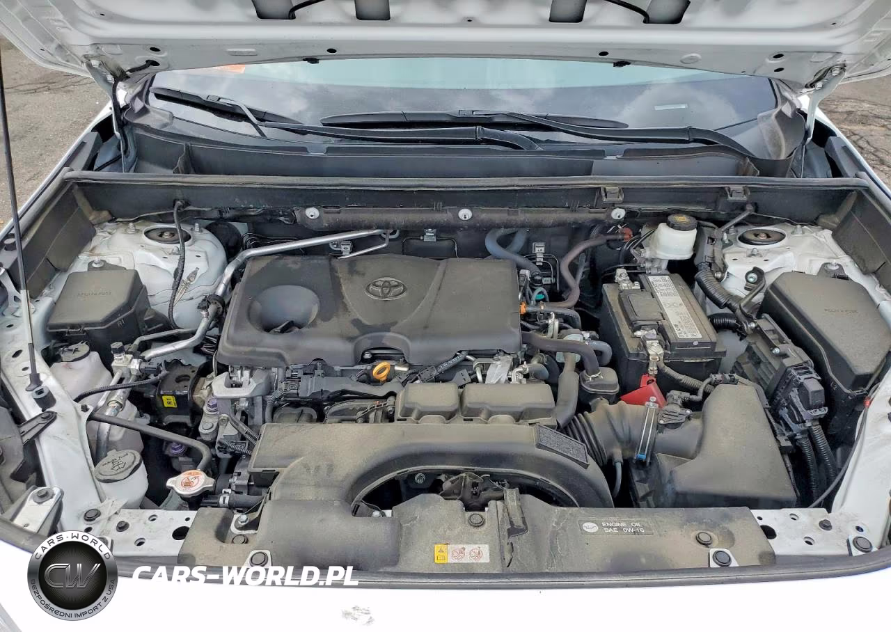 2019 Toyota Rav4 Xle Premium VIN:2T3A1RFV3KW077498 - 12