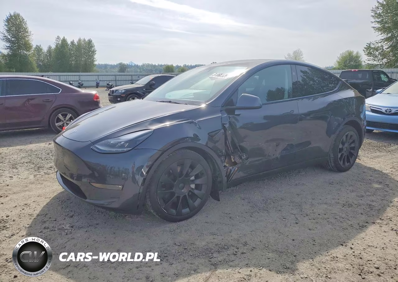 2024 Tesla Model Y