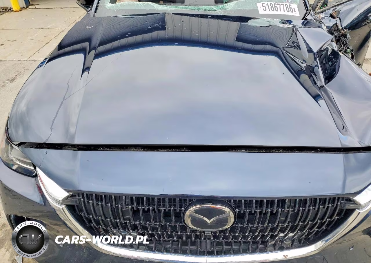 2024 Mazda Cx-90 Premium Plus VIN:JM3KKEHDXR1187737 - 12