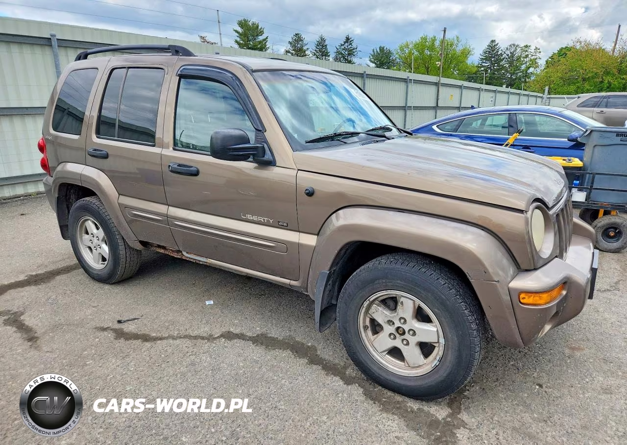 2002 Jeep Liberty Limited VIN:1J4GL58K62W216602 - 4